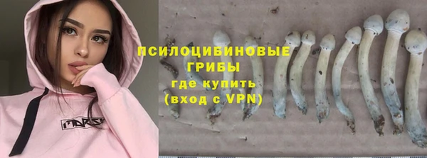 молекула духа Армянск