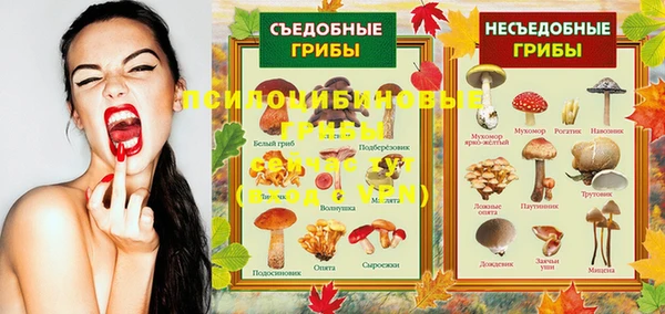прущие крисы Арсеньев
