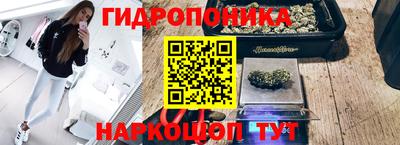 дурь Славянск-на-Кубани