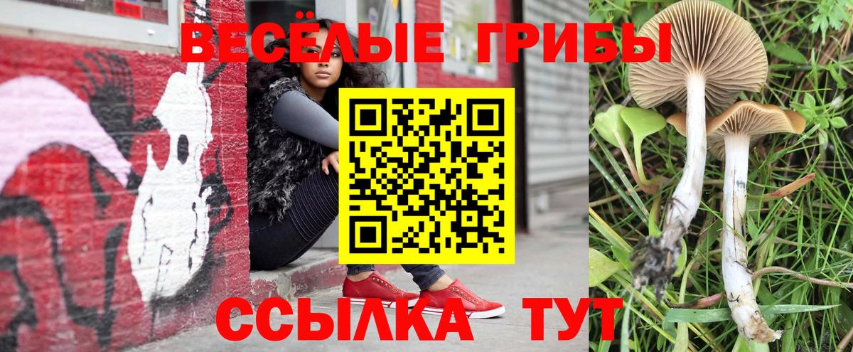 Псилоцибиновые грибы Cubensis  Вход с VPN  Псилоцибиновые грибы GOLDEN TEACHER  Череповец 